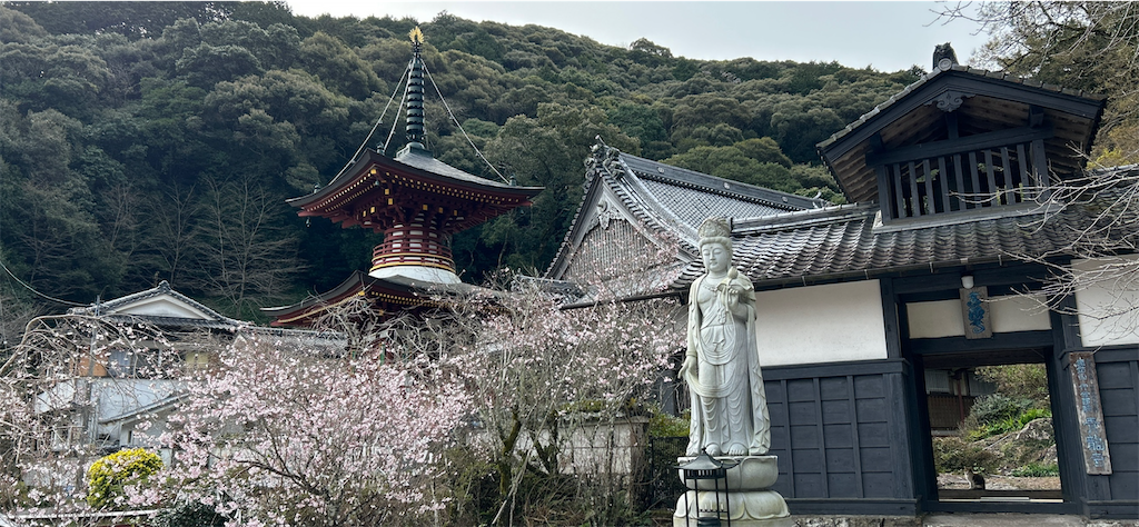 f:id:imtabi:20240611185449p:image