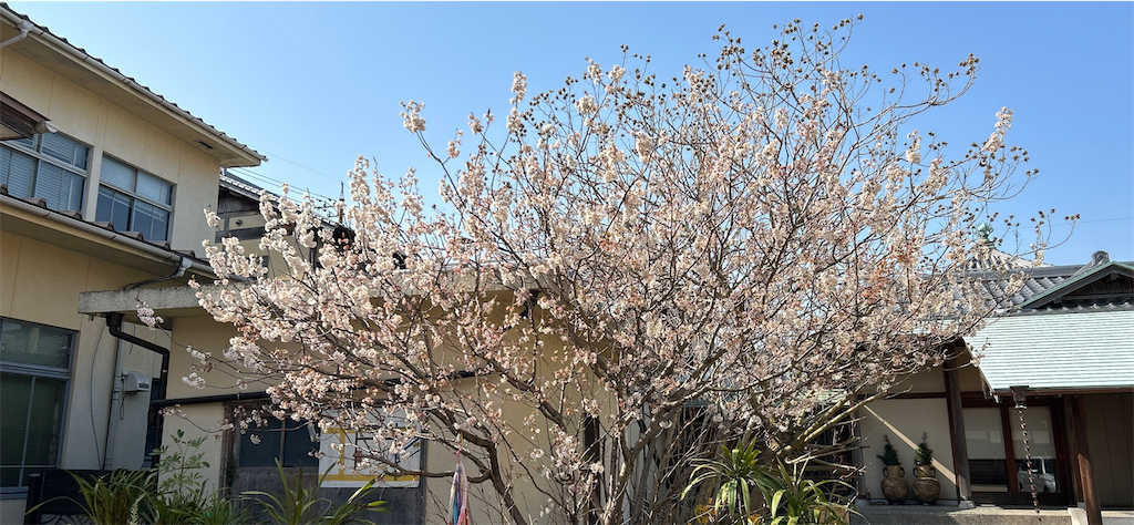 f:id:imtabi:20240623200409p:image