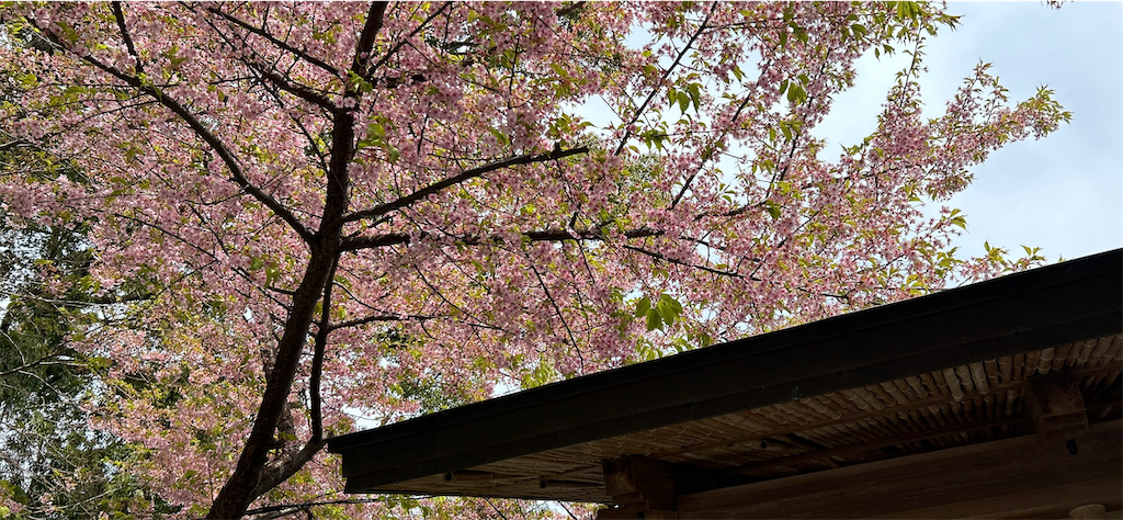 f:id:imtabi:20240623200514p:image