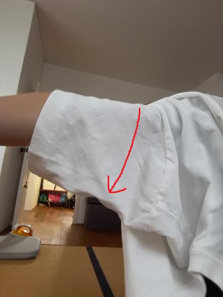 f:id:imuchannel:20191011183055j:plain