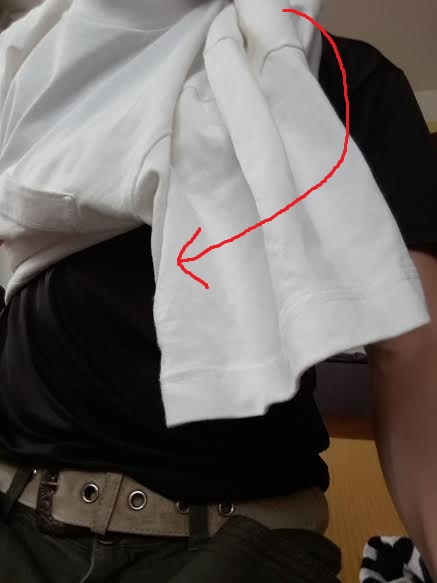 f:id:imuchannel:20191011183105j:plain