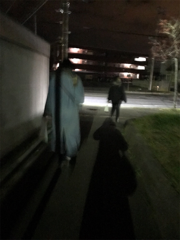 f:id:imuipapiko421:20181202112204j:image f:id:imuipapiko421:20181202112204j:image