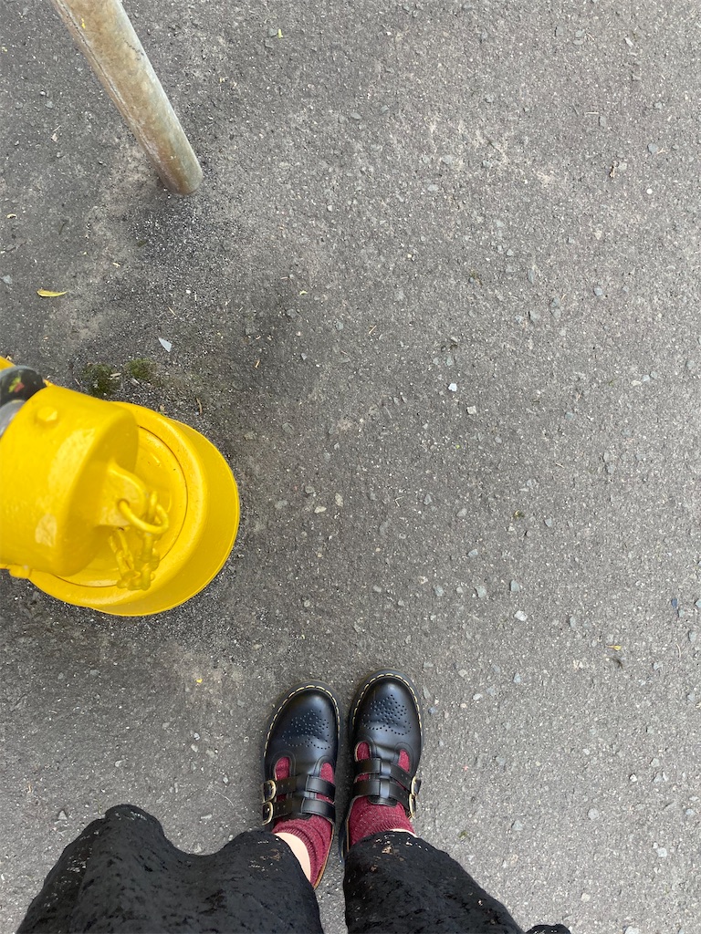 ミシュランガイド掲載店のピザ職人が作るマルゲリータ 冷凍食品 惣菜 ふるさと納税 洋風惣菜 ｅ １２９ ダ ジーノのマルゲリータ４枚 佐賀県佐賀市