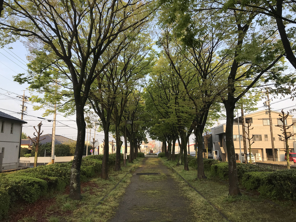 f:id:imuramasakazu:20180901034555j:plain:w200 f:id:imuramasakazu:20180901034555j:plain