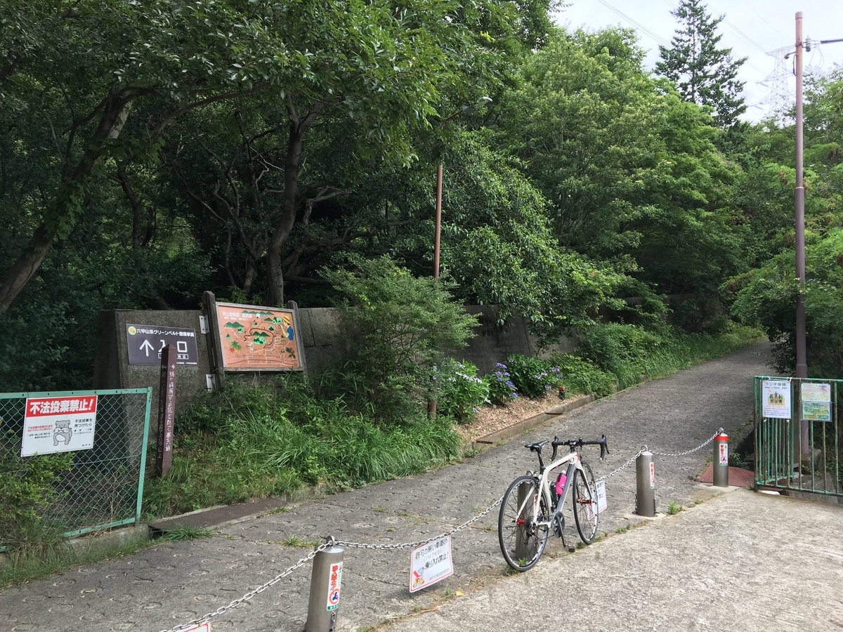 f:id:imuratrek:20190710141710j:plain