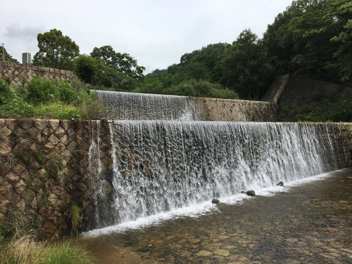 f:id:imuratrek:20190710144256j:plain
