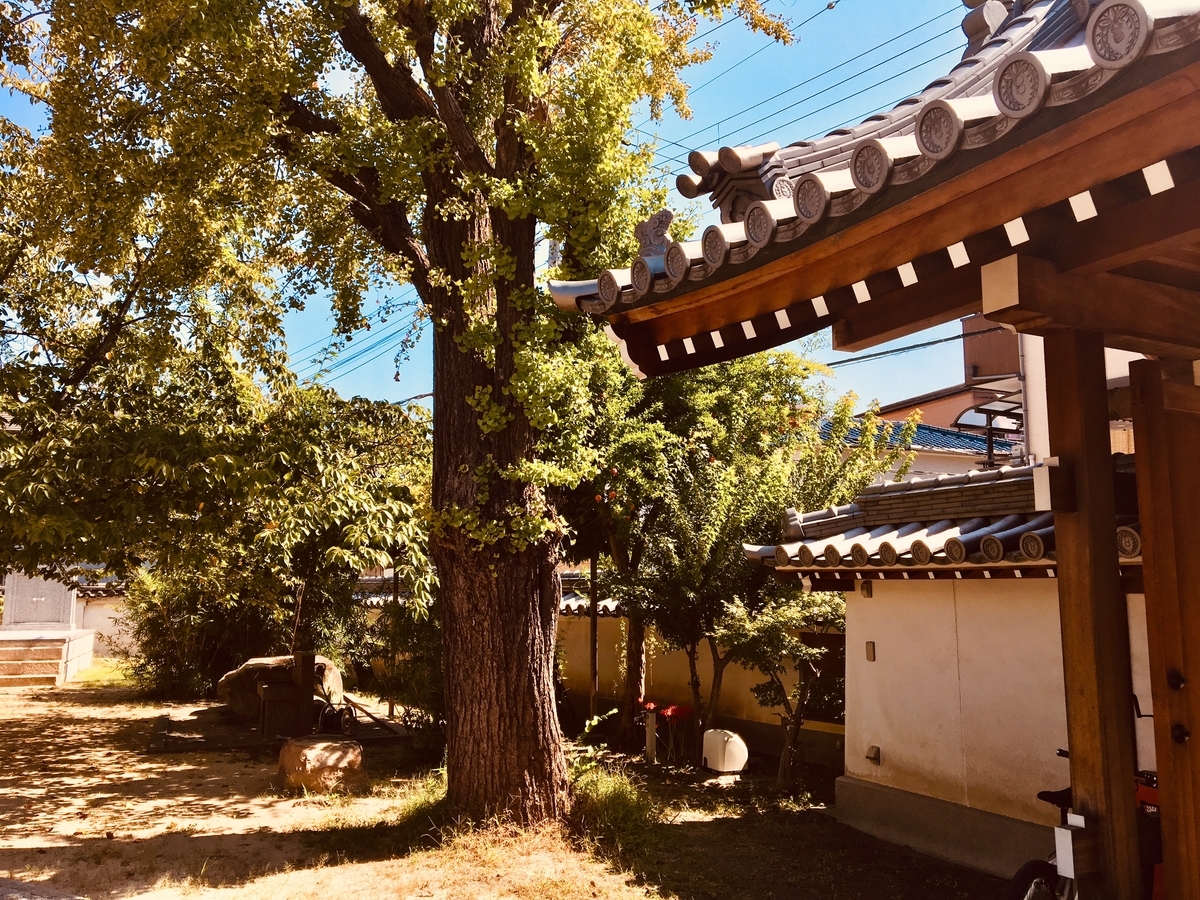 f:id:imuratrek:20190926114937j:plain