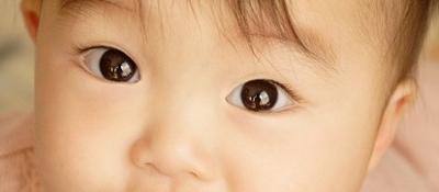 f:id:in0in0:20100107040838j:image