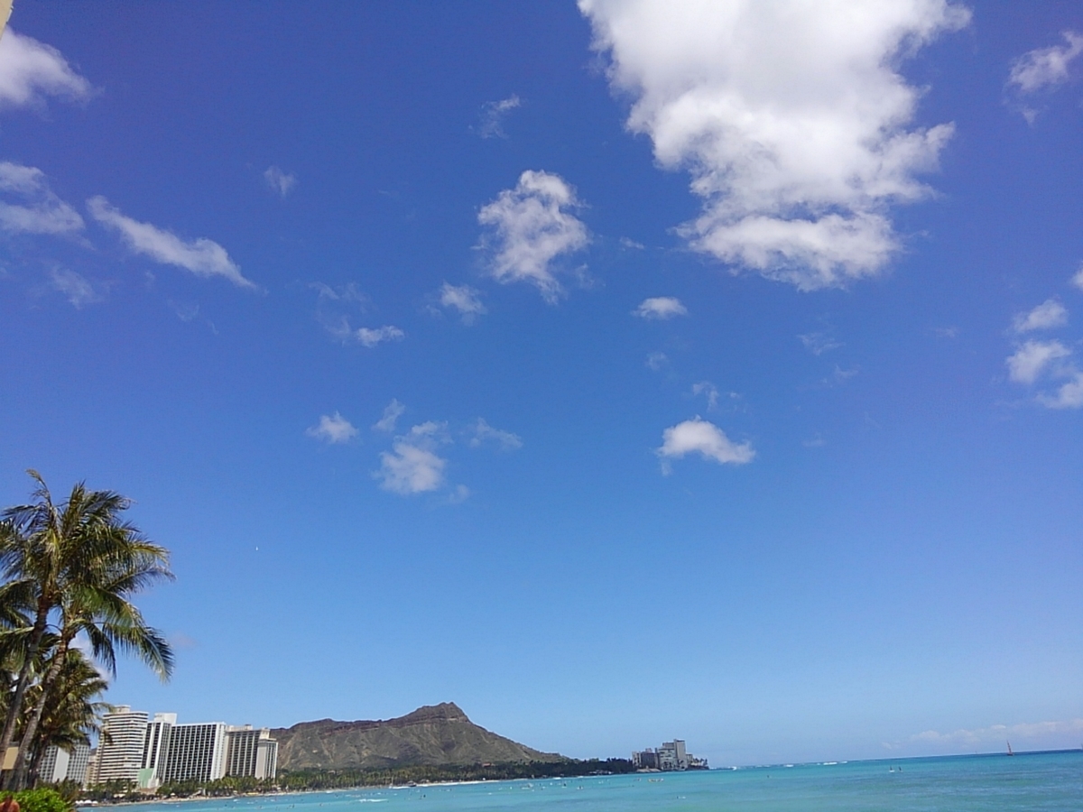 f:id:in0vta:20190817160854j:plain f:id:in0vta:20190817160854j:plain