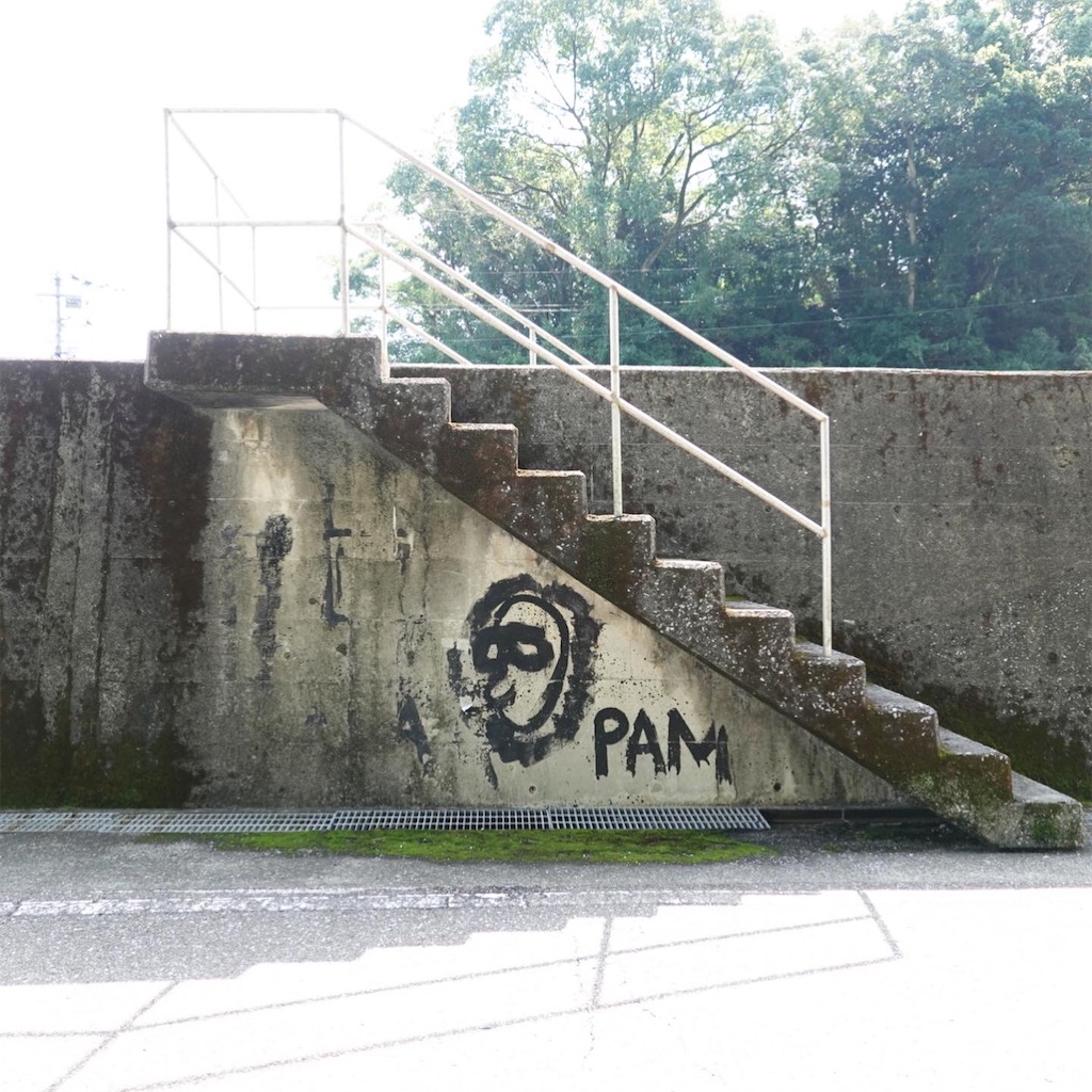 f:id:in5wjs6:20210222000952j:image f:id:in5wjs6:20210222000952j:image