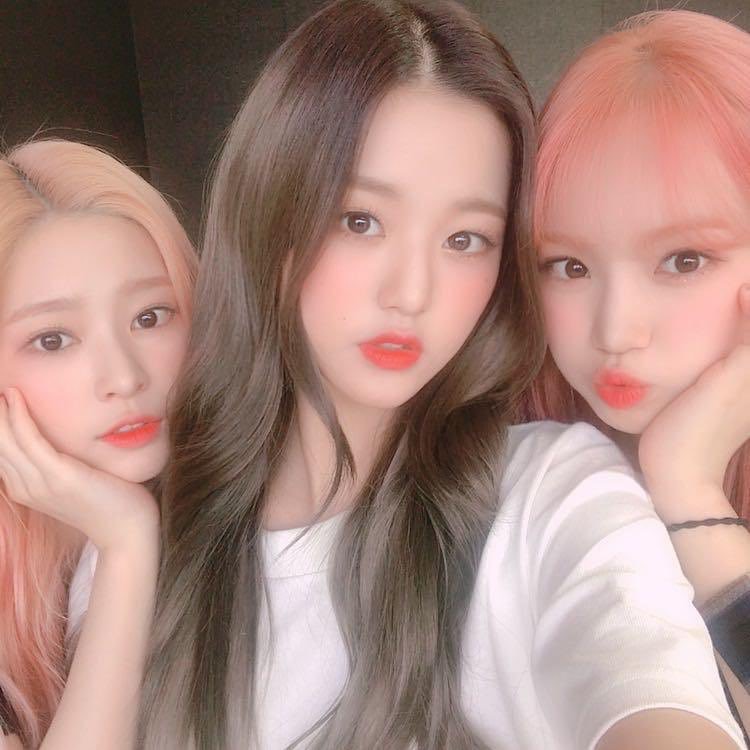 f:id:in_the_bed:20190709222751j:plain f:id:in_the_bed:20190709222751j:plain