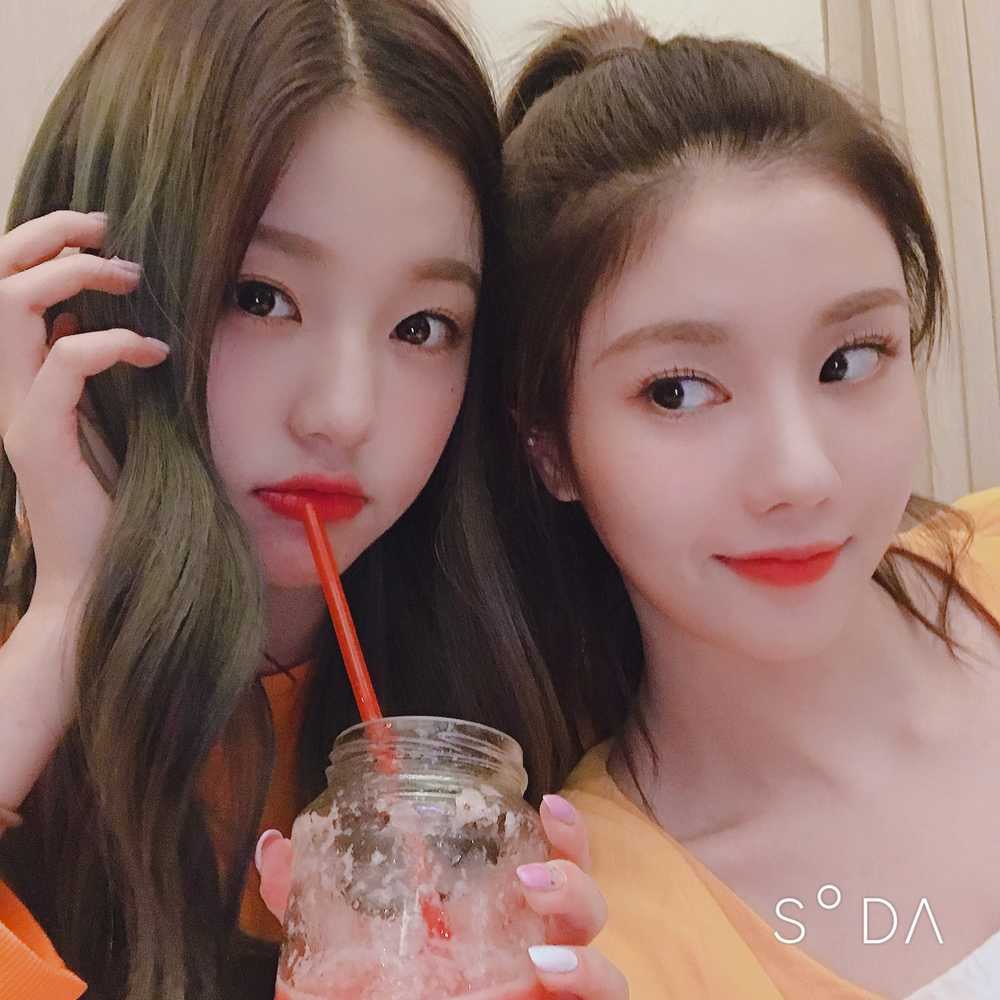 f:id:in_the_bed:20190709222826j:plain f:id:in_the_bed:20190709222826j:plain
