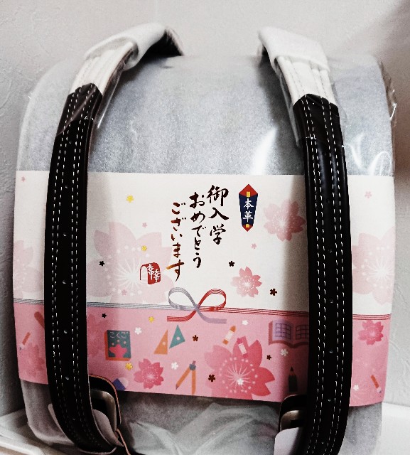 f:id:ina-ho:20220301174241j:image