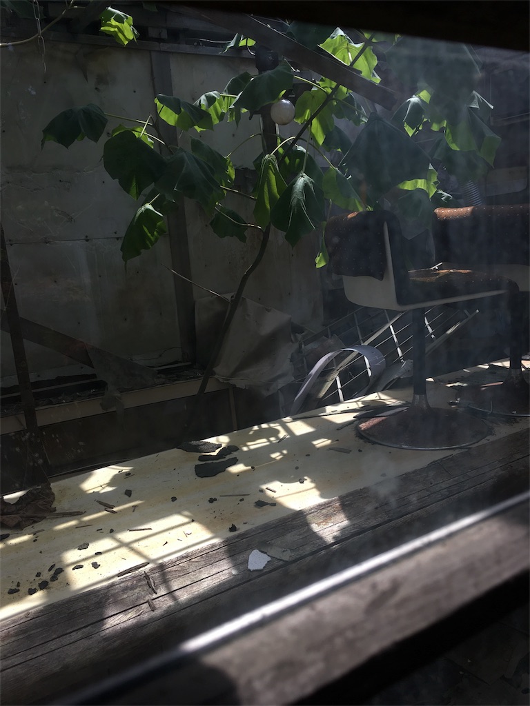 f:id:ina-tabi:20170722183105j:image