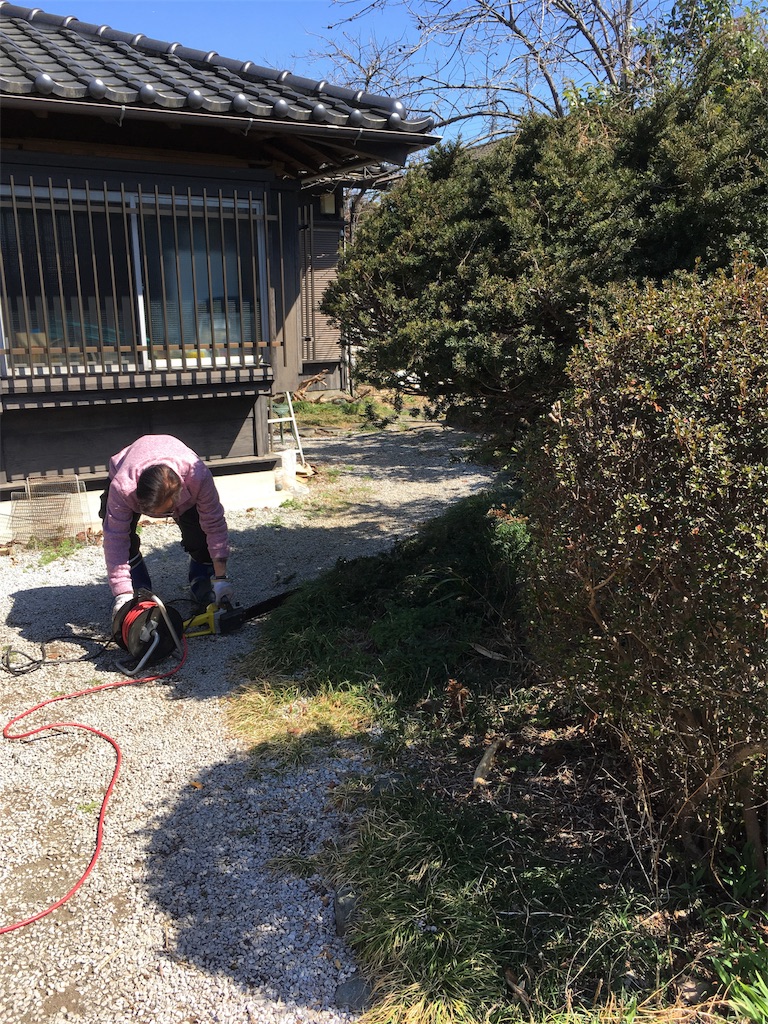 f:id:ina-tabi:20180416150521j:image