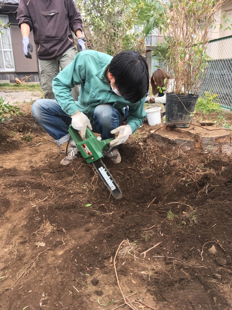 f:id:ina-tabi:20180419015513j:plain