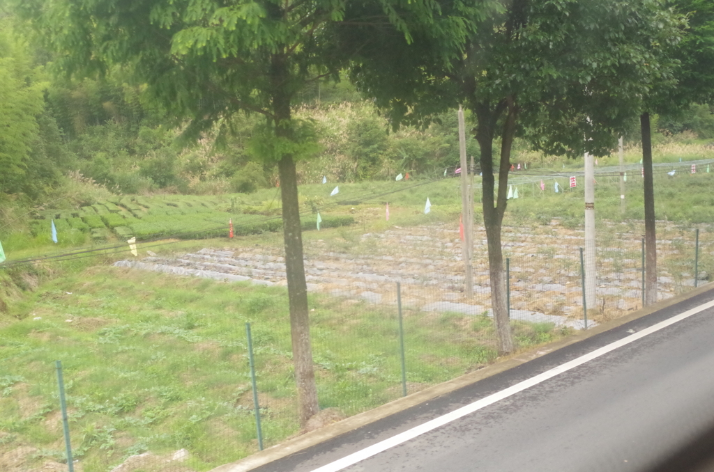 f:id:ina-tabi:20180622235118j:plain f:id:ina-tabi:20180622235118j:plain
