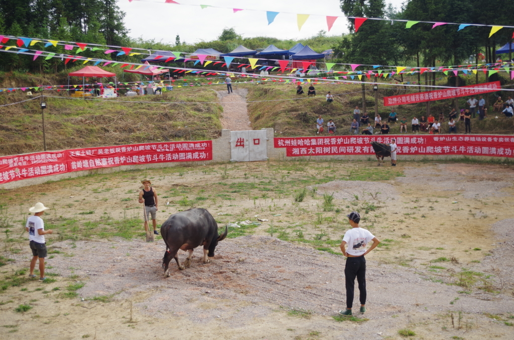 f:id:ina-tabi:20180802133326j:plain