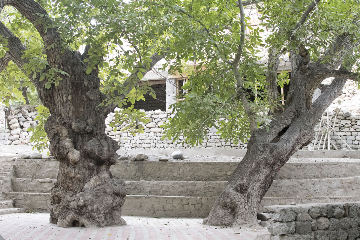 f:id:ina-tabi:20191010150637j:plain f:id:ina-tabi:20191010150637j:plain