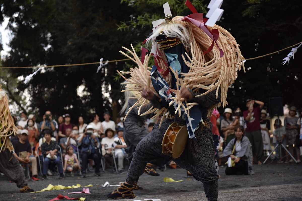 雌獅子を探して乱闘！ 高木の獅子舞 東京都東村山市 - 稲村行真