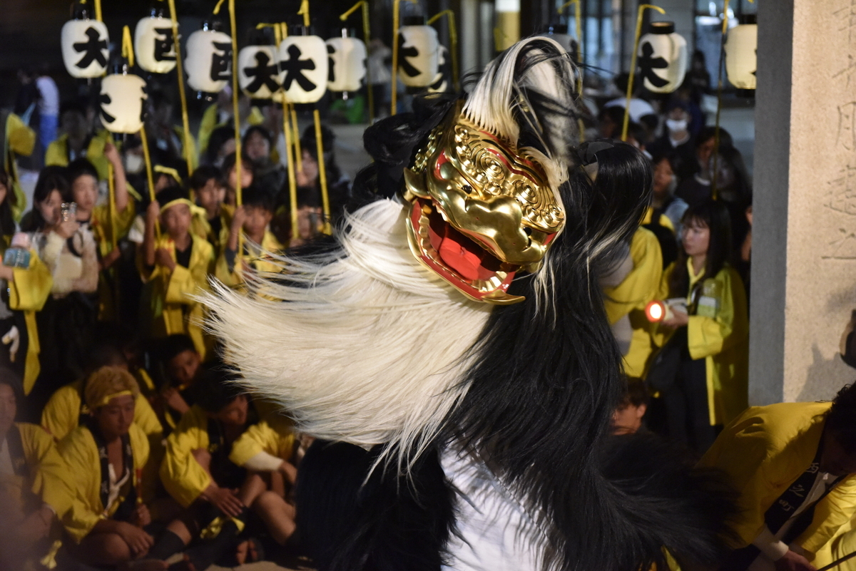 西区のたいこと獅子舞 毛むくじゃらの獅子舞 大塩天満宮 兵庫県 - 稲村行真 Yukimasa