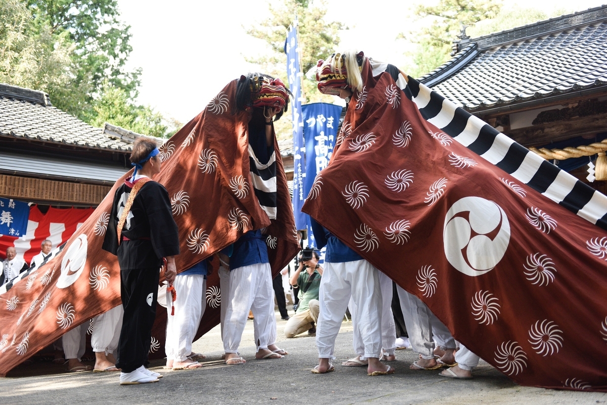 獅子頭 一対 夫婦 雄雌 木製 獅子舞 獅子頭 大型 雄雌一対です獅子舞