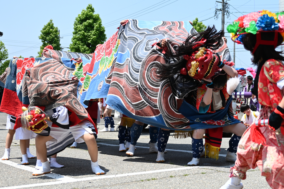 獅子舞の熱狂と多様さ！富山県 新湊・射水の獅子舞を訪ねる - 稲村行真