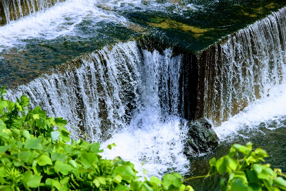 f:id:inada12412:20191007001141j:plain f:id:inada12412:20191007001141j:plain