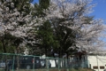 20120424143204