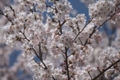 20120424144344
