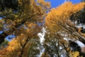 20121102081919