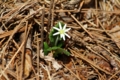 20130404133346