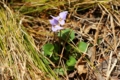 20130404133501
