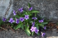 20130404134438
