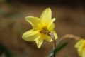 20130404134637