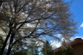 20130502155803