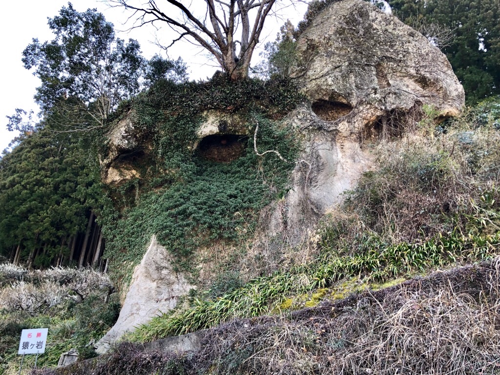 f:id:inagon175:20190308194611j:image f:id:inagon175:20190308194611j:image
