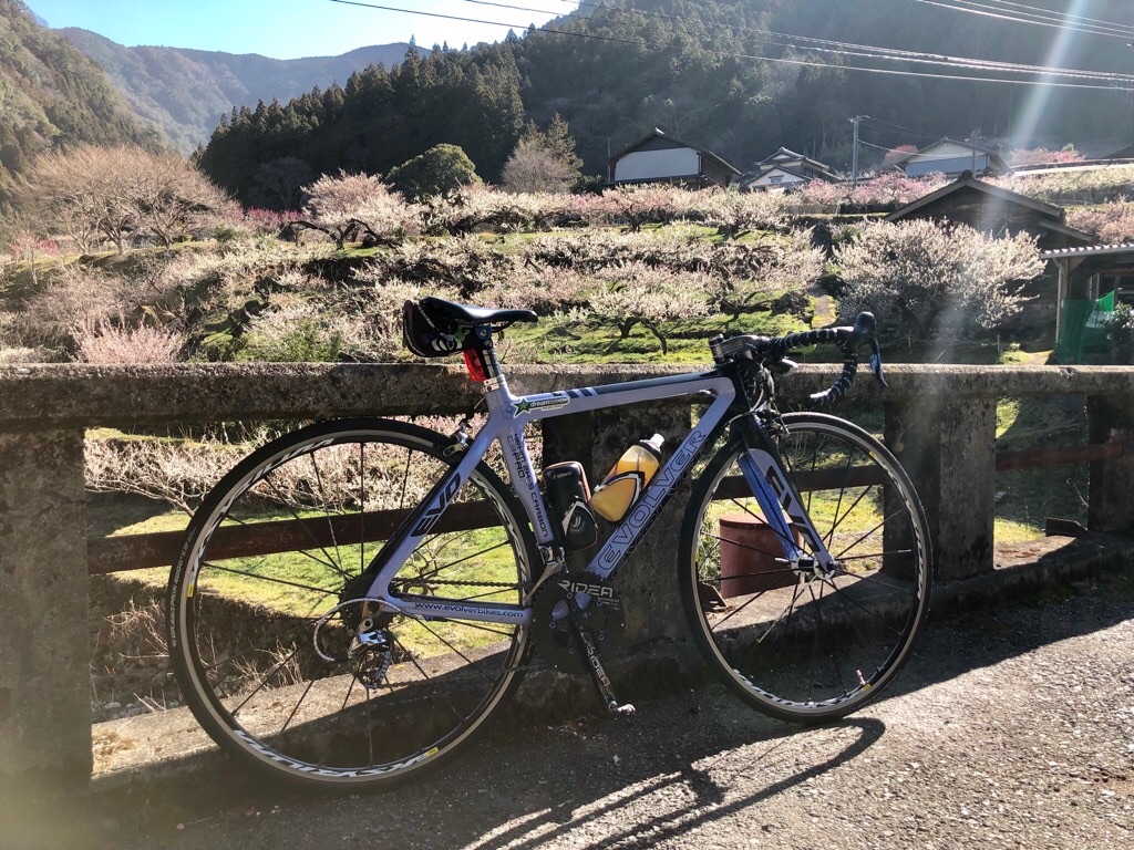 f:id:inagon175:20190308194952j:image f:id:inagon175:20190308194952j:image
