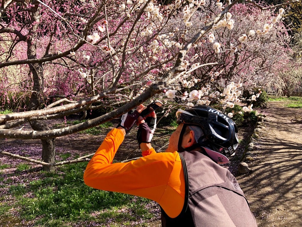 f:id:inagon175:20190308195819j:image f:id:inagon175:20190308195819j:image