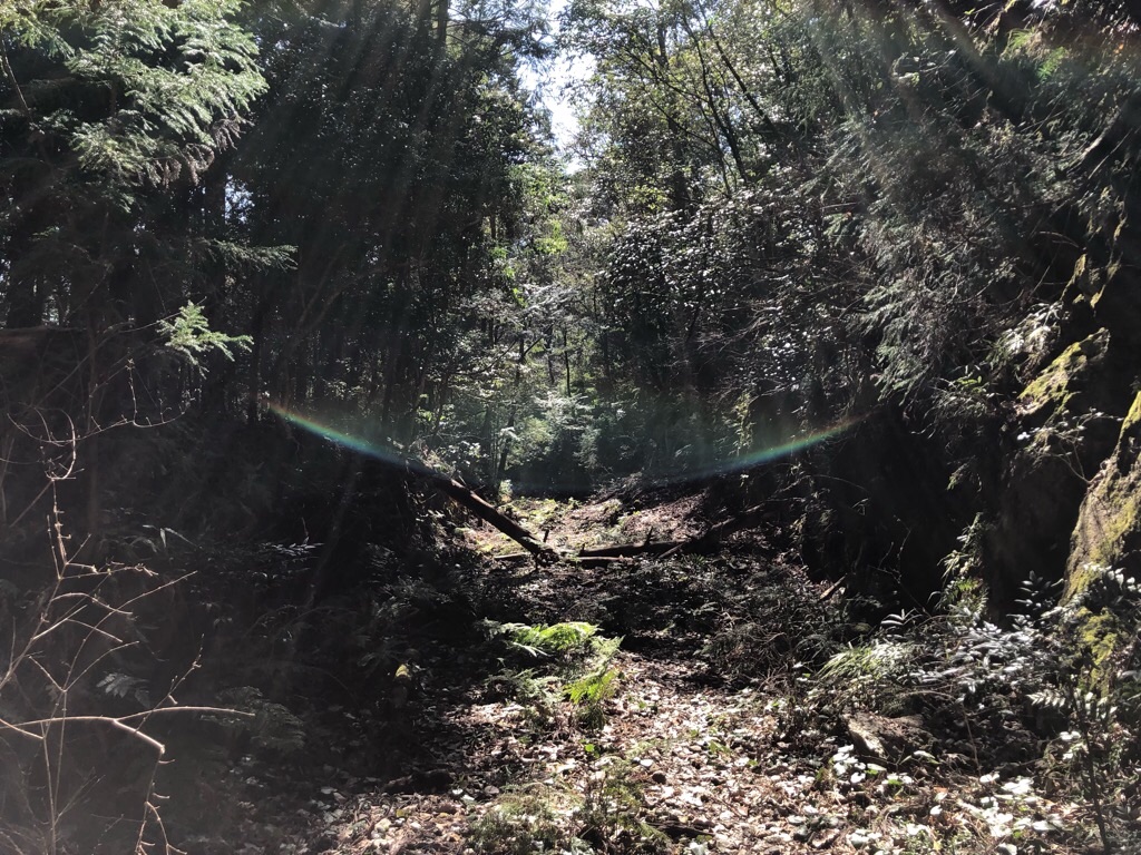 f:id:inagon175:20190308203614j:image f:id:inagon175:20190308203614j:image