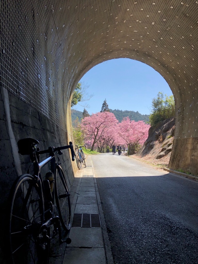 f:id:inagon175:20190308203952j:image f:id:inagon175:20190308203952j:image