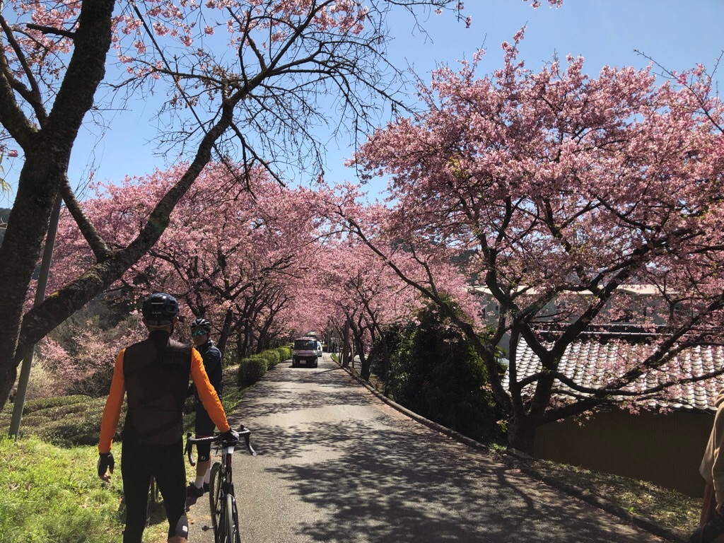 f:id:inagon175:20190308204504j:image f:id:inagon175:20190308204504j:image