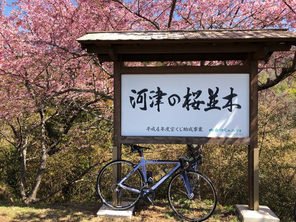 f:id:inagon175:20190308204636j:image f:id:inagon175:20190308204636j:image