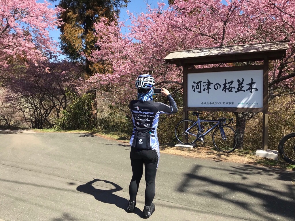 f:id:inagon175:20190308204654j:image f:id:inagon175:20190308204654j:image