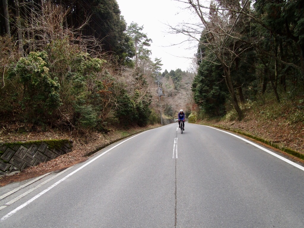 f:id:inagon175:20190312225755j:image