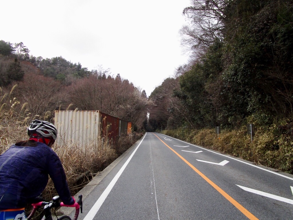 f:id:inagon175:20190312232724j:image