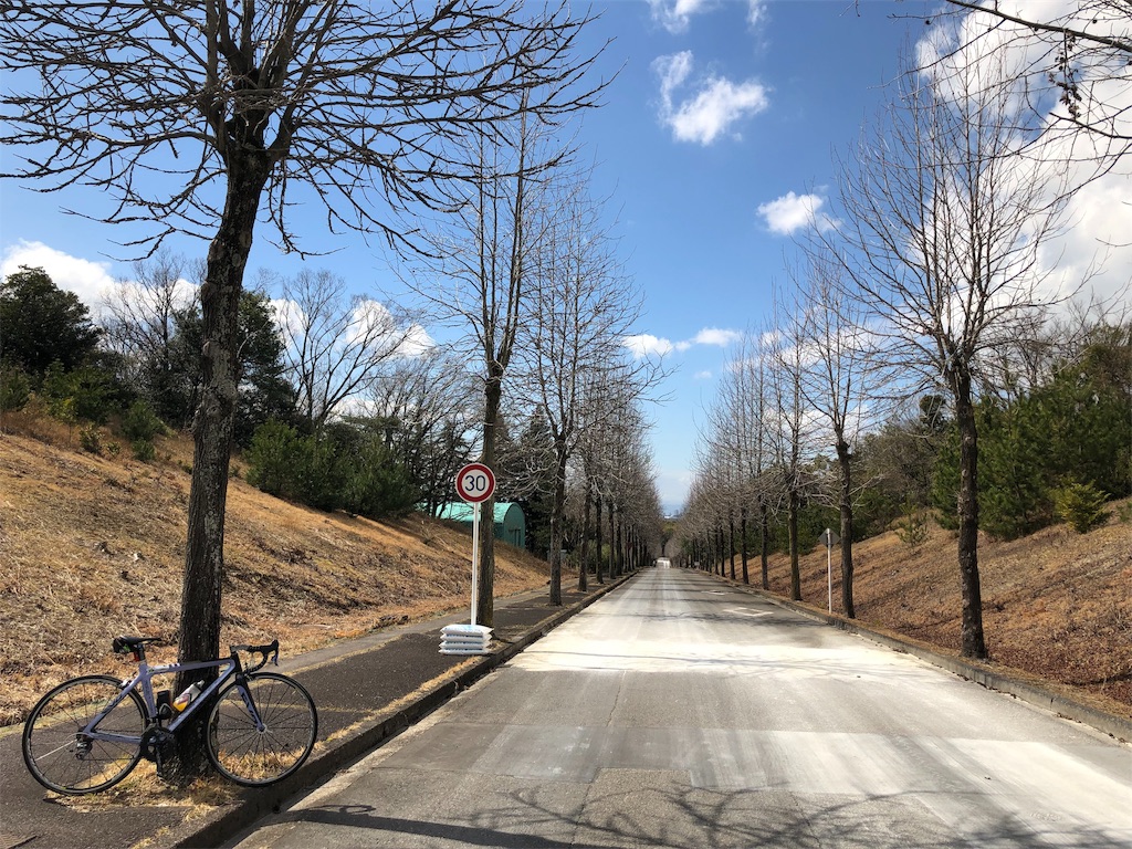f:id:inagon175:20190313155835j:image