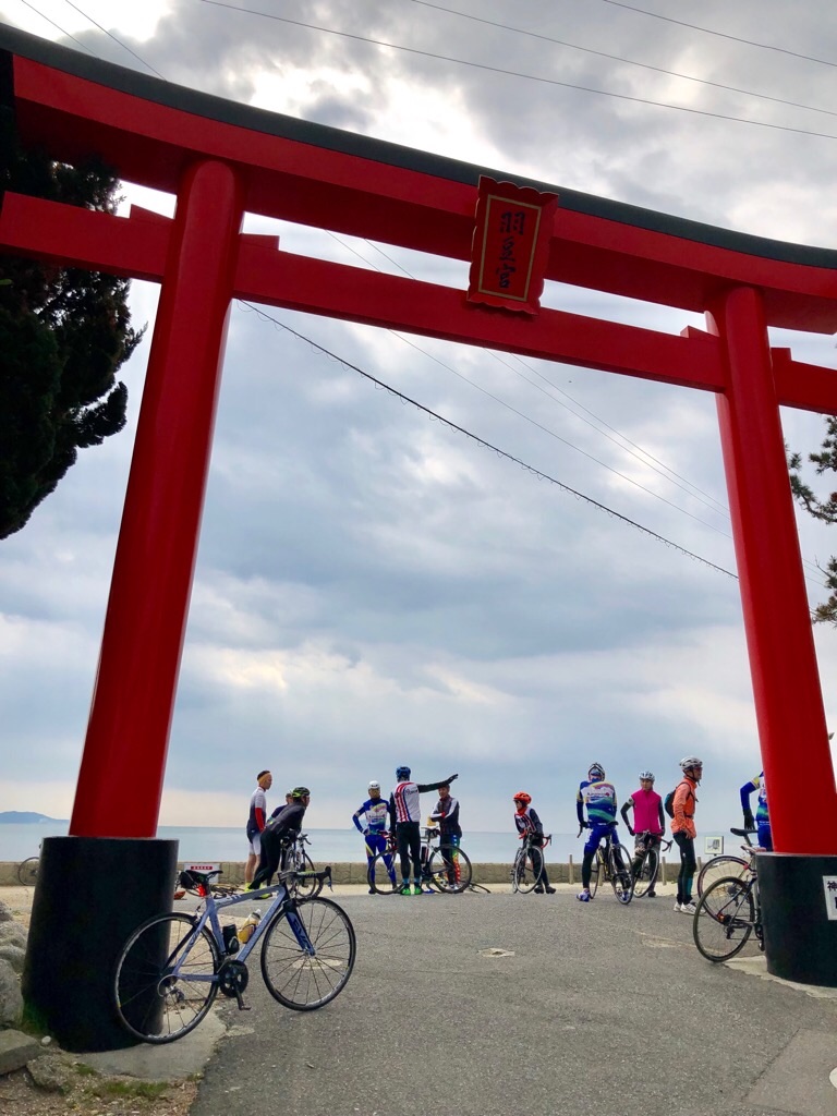 f:id:inagon175:20190318140355j:image