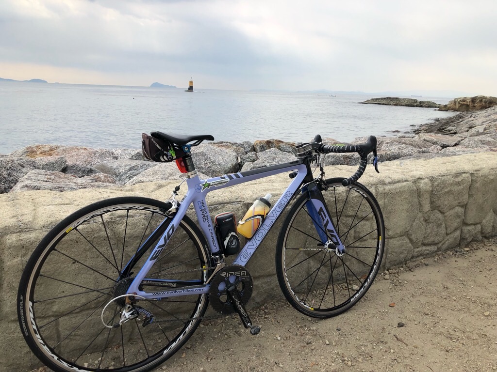 f:id:inagon175:20190318140525j:image