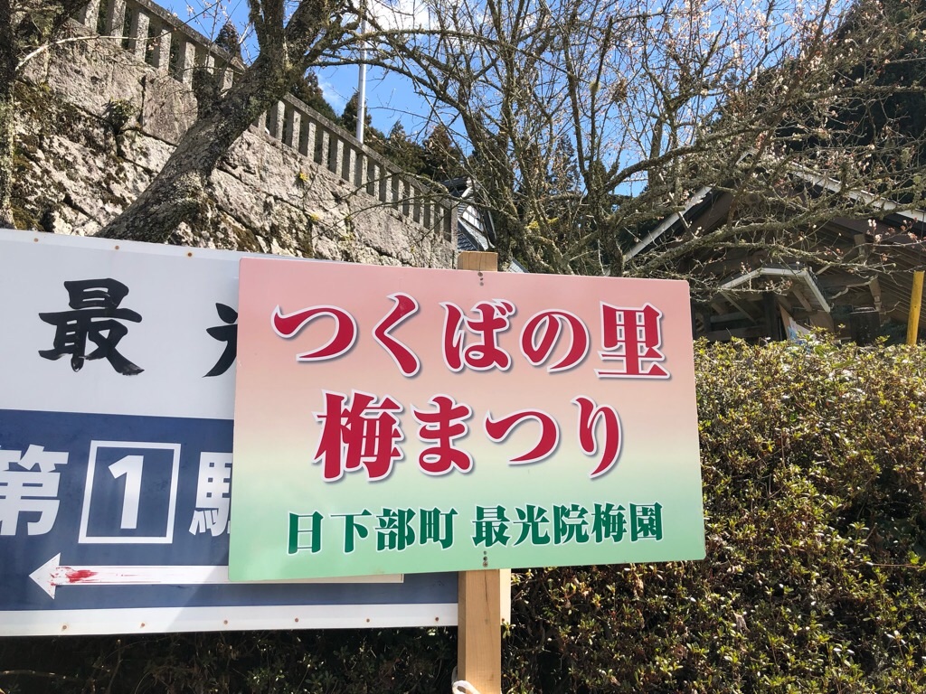 f:id:inagon175:20190324225725j:image f:id:inagon175:20190324225725j:image